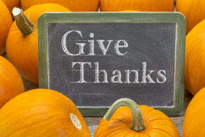 give thanks - Thanksgiving concept - words in white chalk on a blackboard surrounded by pumpkins