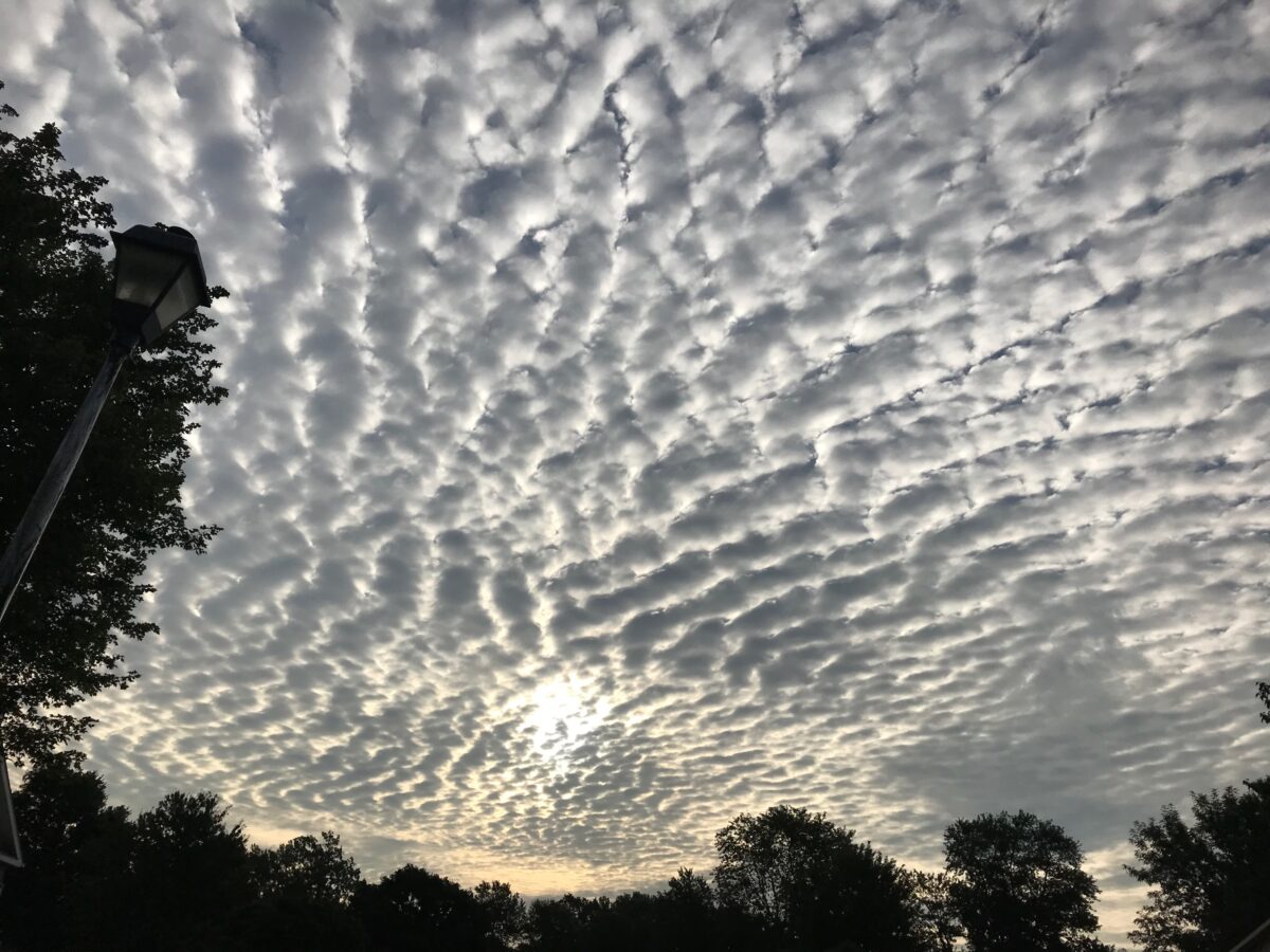 Marshmallow Clouds Kathy Harris Books